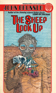 Sheep Look Up